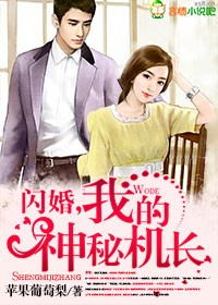 闪婚，我的神秘机长